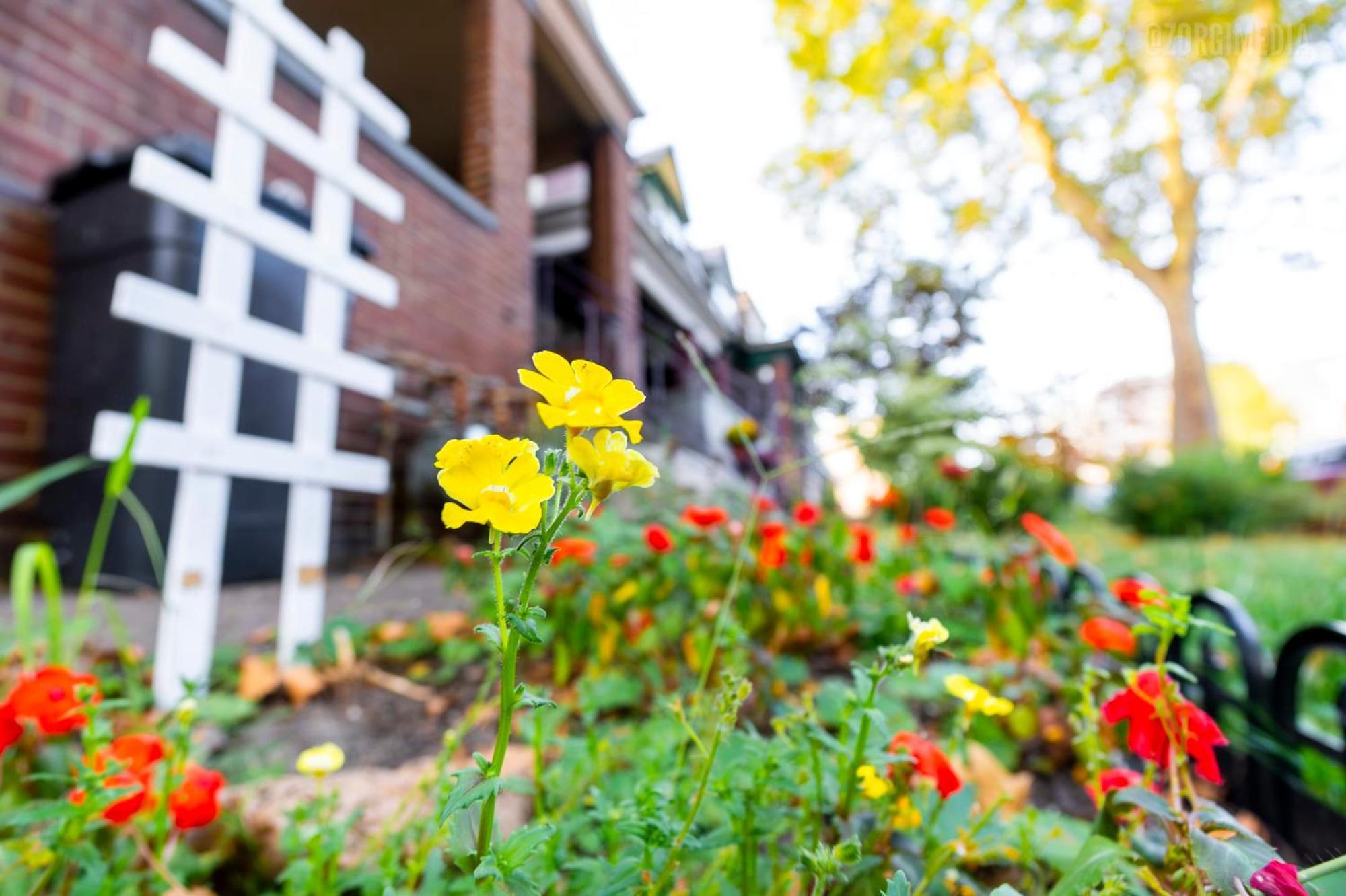 Stylish Apt - 2 Queen Bed - Easy Hospital Access Pittsburgh Exterior photo
